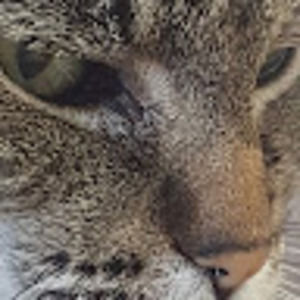 Meet your Posher, Katherine